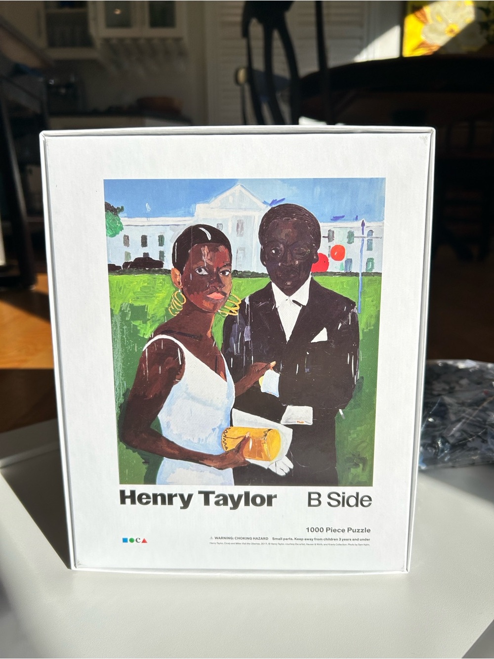 SEALED 1000 Piece Henry Taylor 'B Side' Art Puzzle - from MOCA